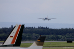 Die DC-3 im Landeanflug auf den Flughafen Paderborn-Lippstadt