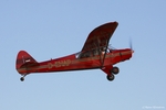 Piper PA-18-95 Super Cup D-EHAP