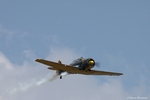 North American T-6, D-FAME